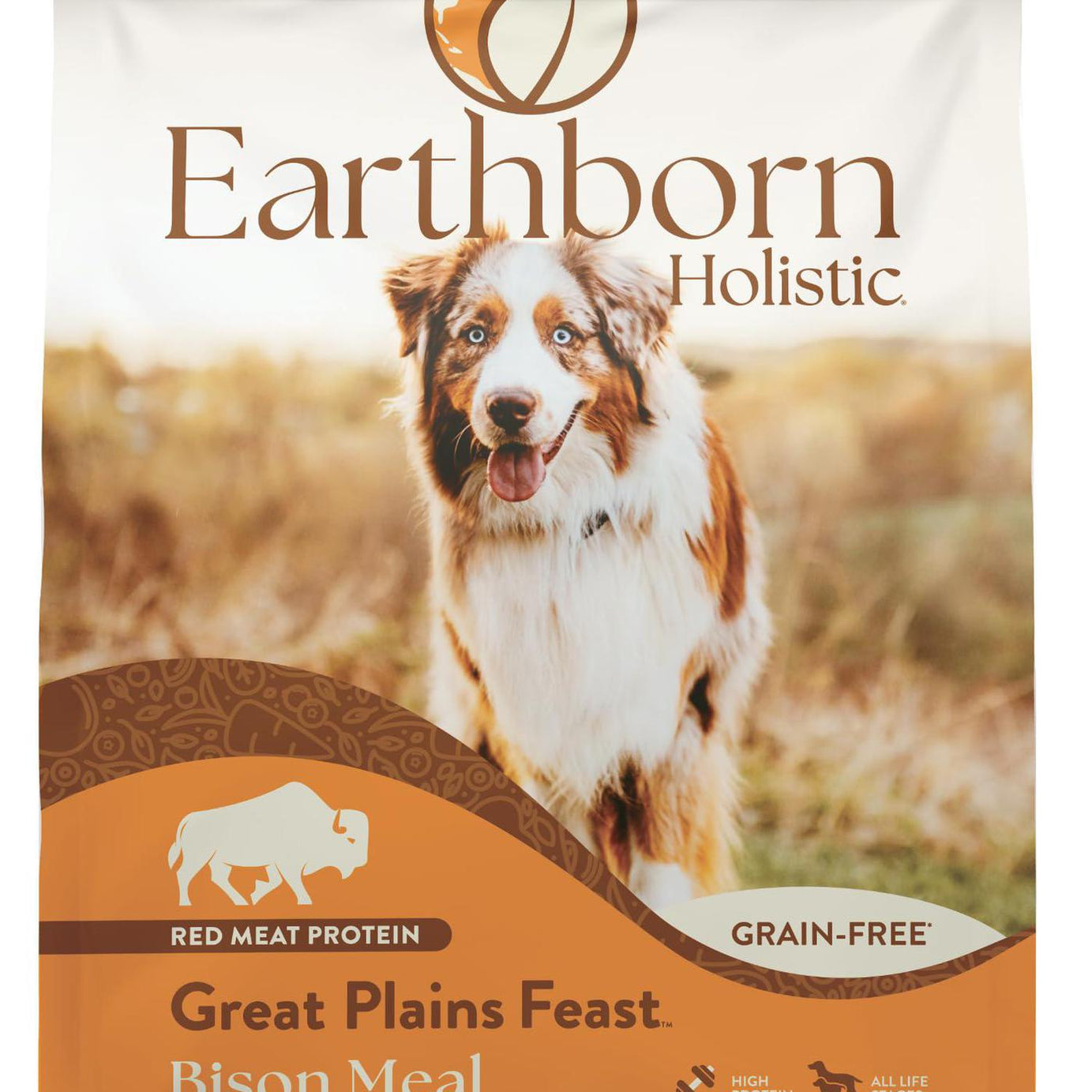 Earthborn Dog Dry GF Great Plains Feast