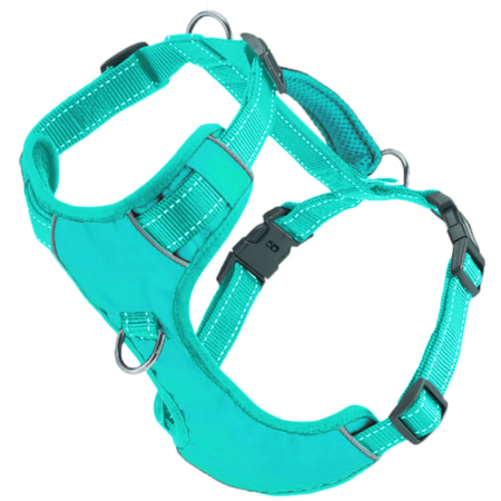 BAYDOG Harness Chesapeake Sea Foam