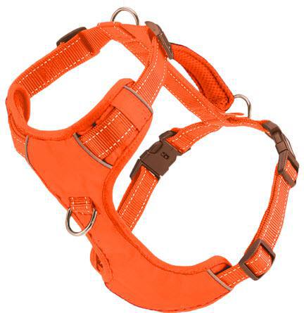 BAYDOG Harness Chesapeake Orange