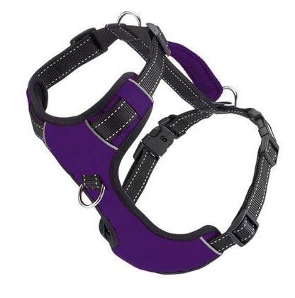 BAYDOG Harness Chesapeake Purple