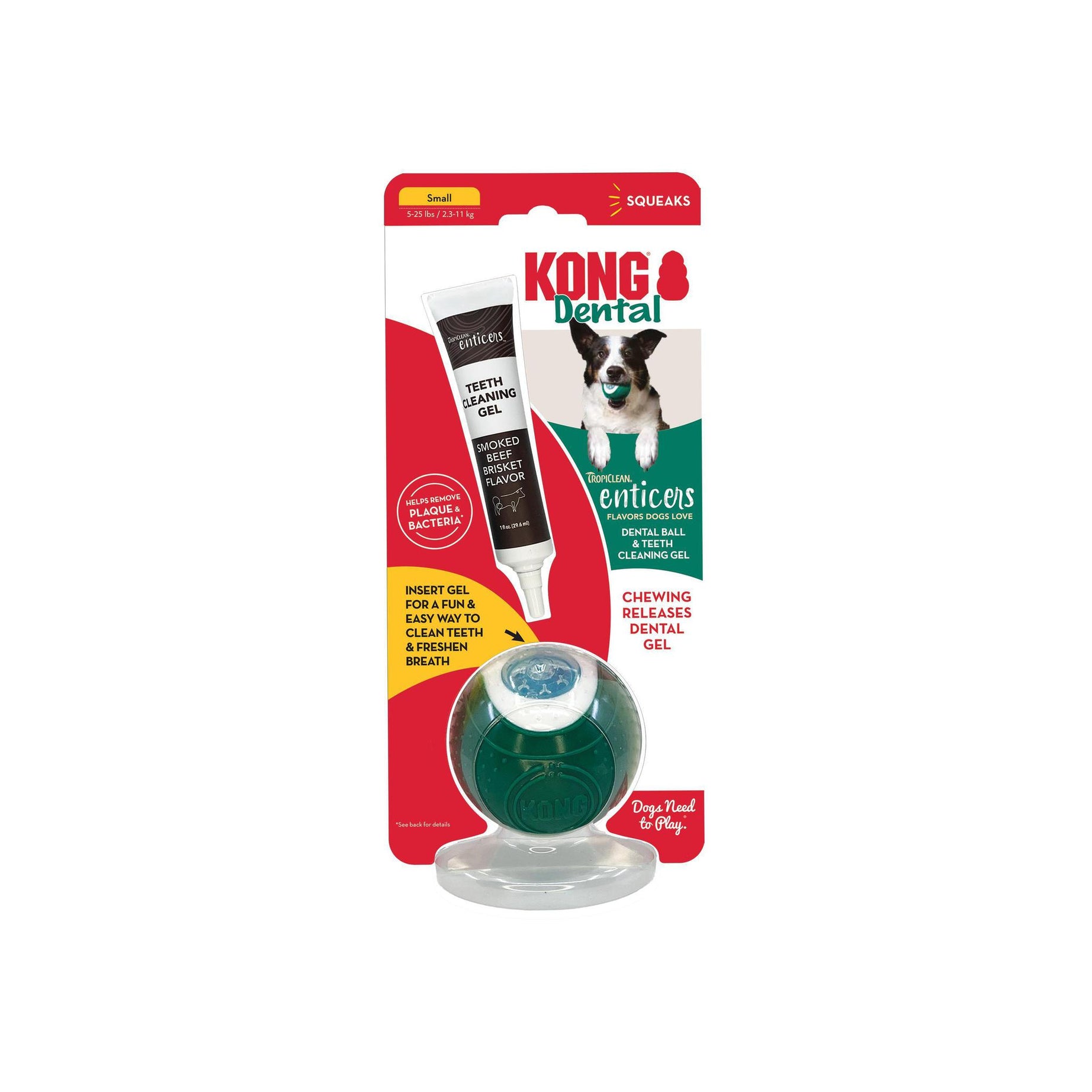 Kong Dental Ball Dog Toy Small