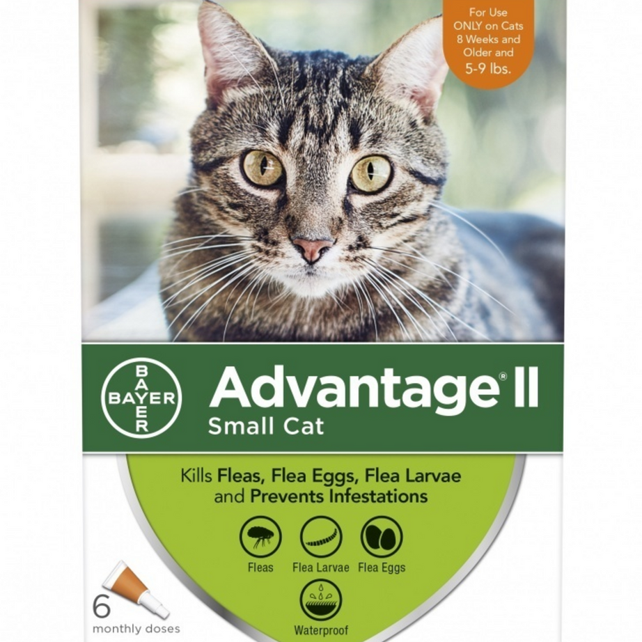 Elanco Advantage II Small Cat