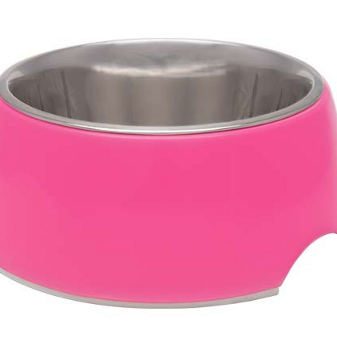 Loving Pets Hot Pink Retro Bowl