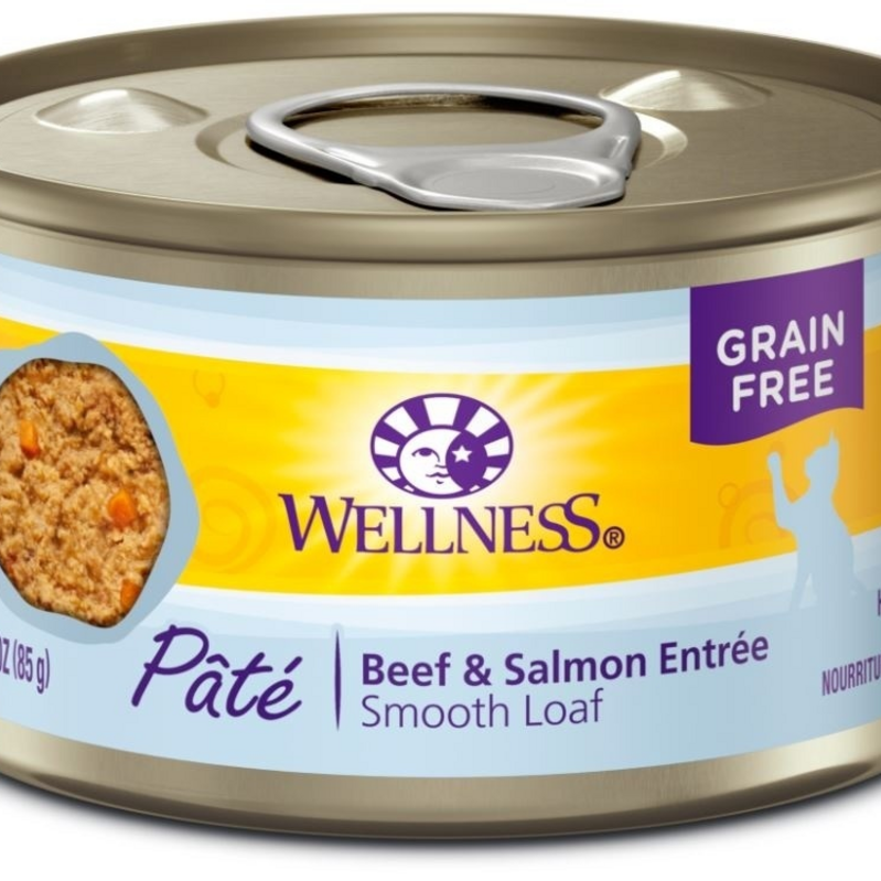 Wellness Complete Health Grain Free Natural Beef and Salmon Recipe Canned Cat Food