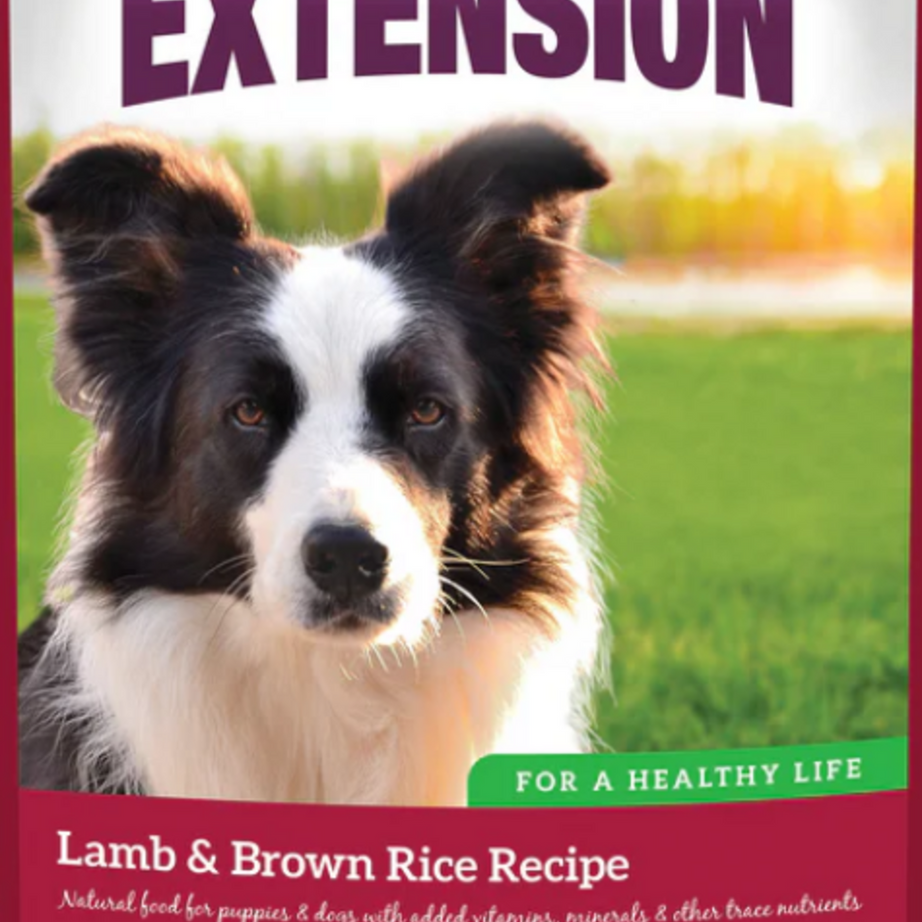 Health Extension Lamb and Brown Rice Dry Dog Food