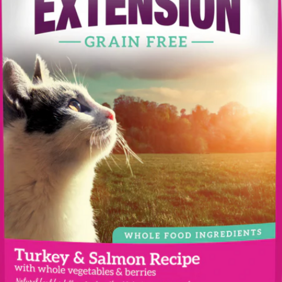 Health Extension Grain Free Salmon and Turkey Dry Cat Food