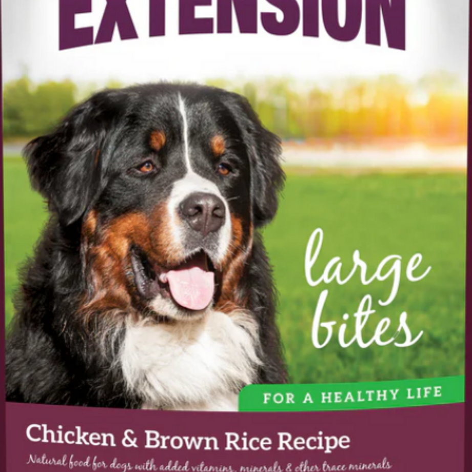 Health Extension Chicken & Brown Rice Large Bites Dry Dog Food