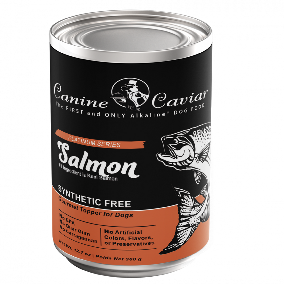 Canine Caviar Grain Free Synthetic Free Salmon Recipe Canned Dog Food