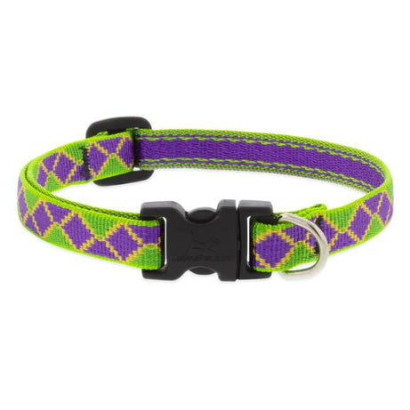 Lupine Limited Edition Collar 1/2"w