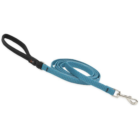 Lupine 1/2in Aqua 6ft Leash