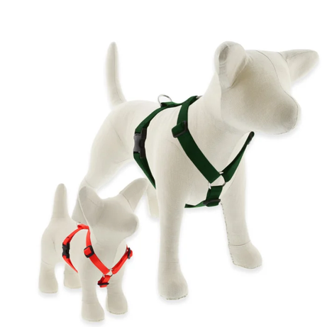 Lupine Basic Solids Roman Dog Harness 1/2" wide