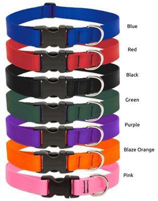 Lupine Basics 1/2 Adj Collar 6-9 - Mr Mochas Pet Supplies