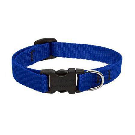 Lupine Collar 10-16 Adj Blue - Mr Mochas Pet Supplies