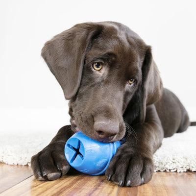 KONG Twistz Ball Dog Toy – Mr Mochas Pet Supplies