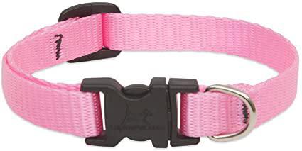 Lupine Basics 1/2" Collar 10"-16" Pink - Mr Mochas Pet Supplies