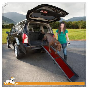 Kurgo wander dog store ramp