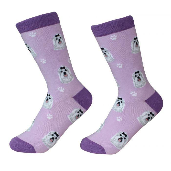 Pet Socks - Maltese - Mr Mochas Pet Supplies