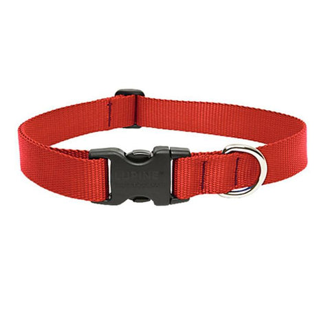 Lupine 1in Red 16-28 Adj Collar - Mr Mochas Pet Supplies