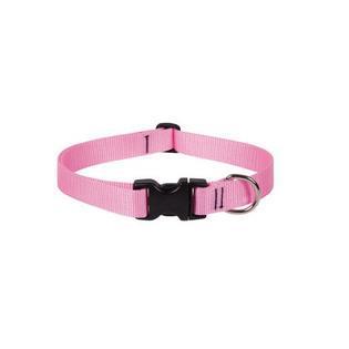 Lupine 1in Pink 12-20 Adj Collar - Mr Mochas Pet Supplies